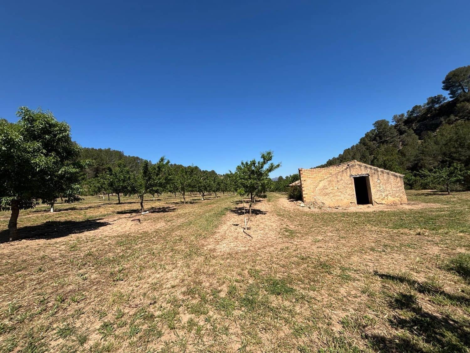 Teren niezagospodarowany na sprzedaż w Ginestar - 40 000 € (Ref: 8573795)