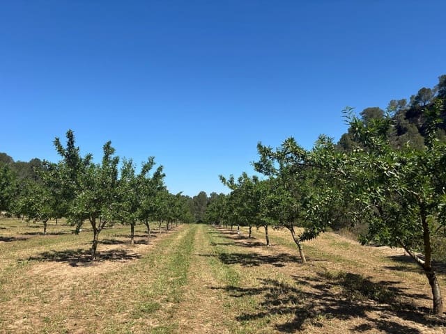 Grunde uden byggetilladelser til salg i Ginestar - € 40.000 (Ref: 8573795)