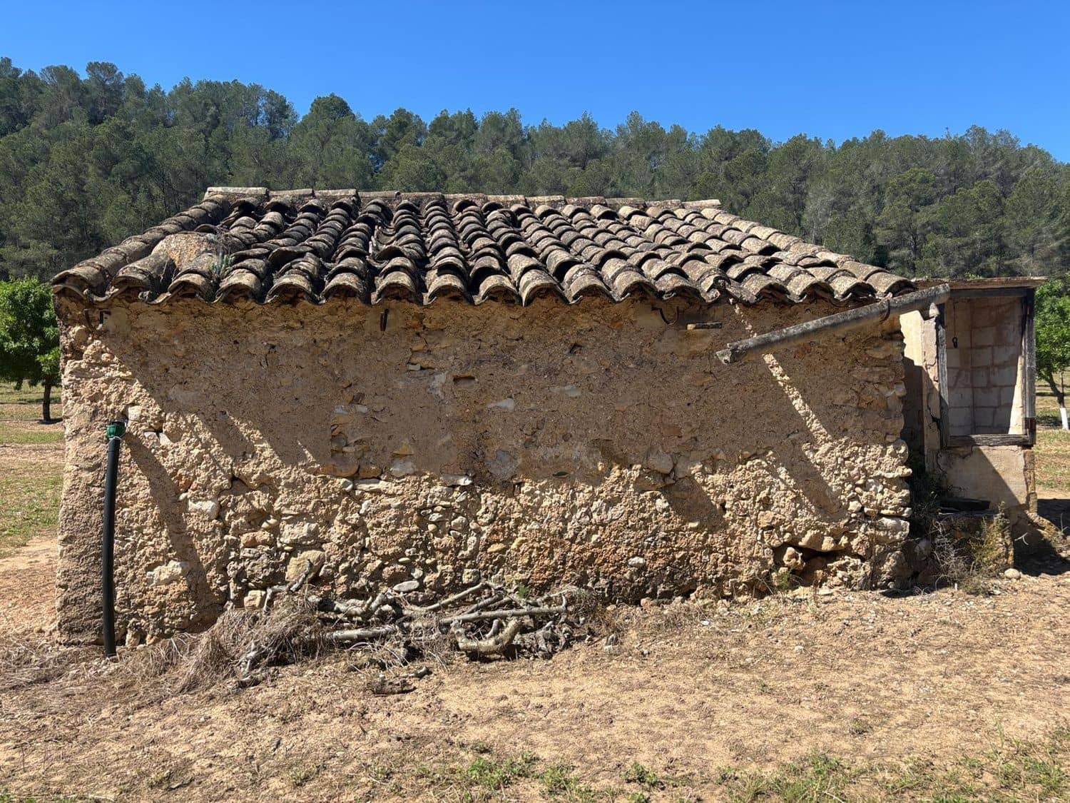 Teren niezagospodarowany na sprzedaż w Ginestar - 40 000 € (Ref: 8573795)