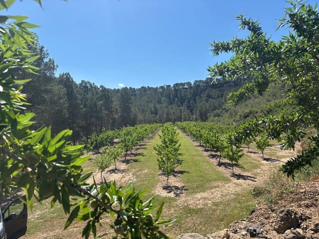 Grunde uden byggetilladelser til salg i Ginestar - € 40.000 (Ref: 8573795)