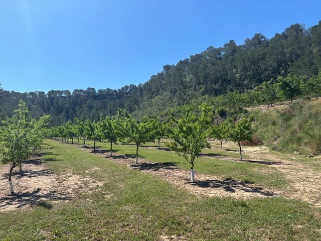 Grunde uden byggetilladelser til salg i Ginestar - € 40.000 (Ref: 8573795)