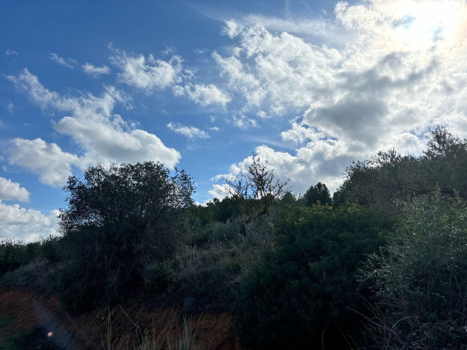 Teren niezagospodarowany na sprzedaż w Mora la Nova - 10 000 € (Ref: 8629842)