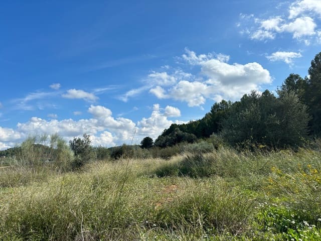 Mark till salu i Móra la Nova - 10 000 € (Ref: 8629842)