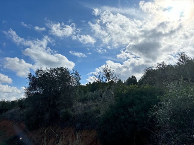 Mark till salu i Móra la Nova - 10 000 € (Ref: 8629842)