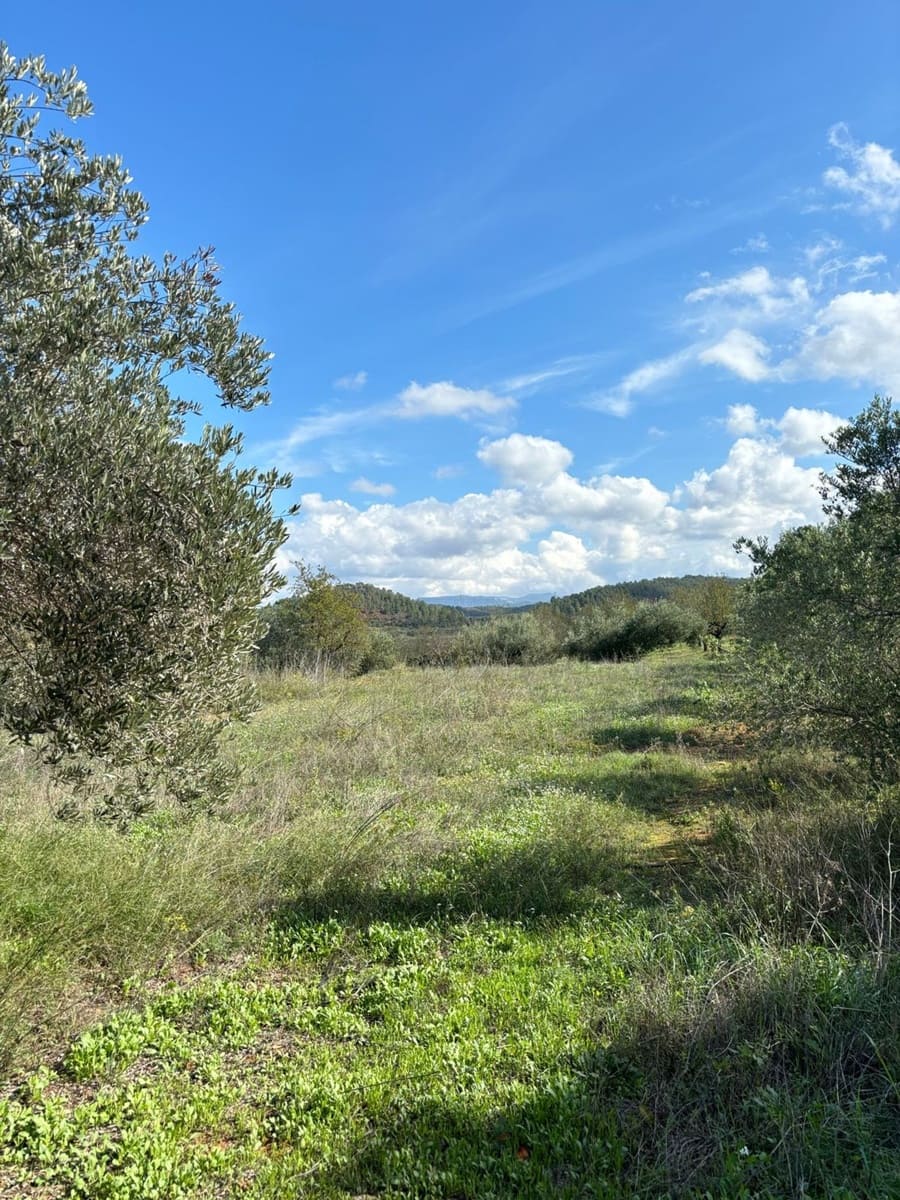 Teren niezagospodarowany na sprzedaż w Mora la Nova - 10 000 € (Ref: 8629842)