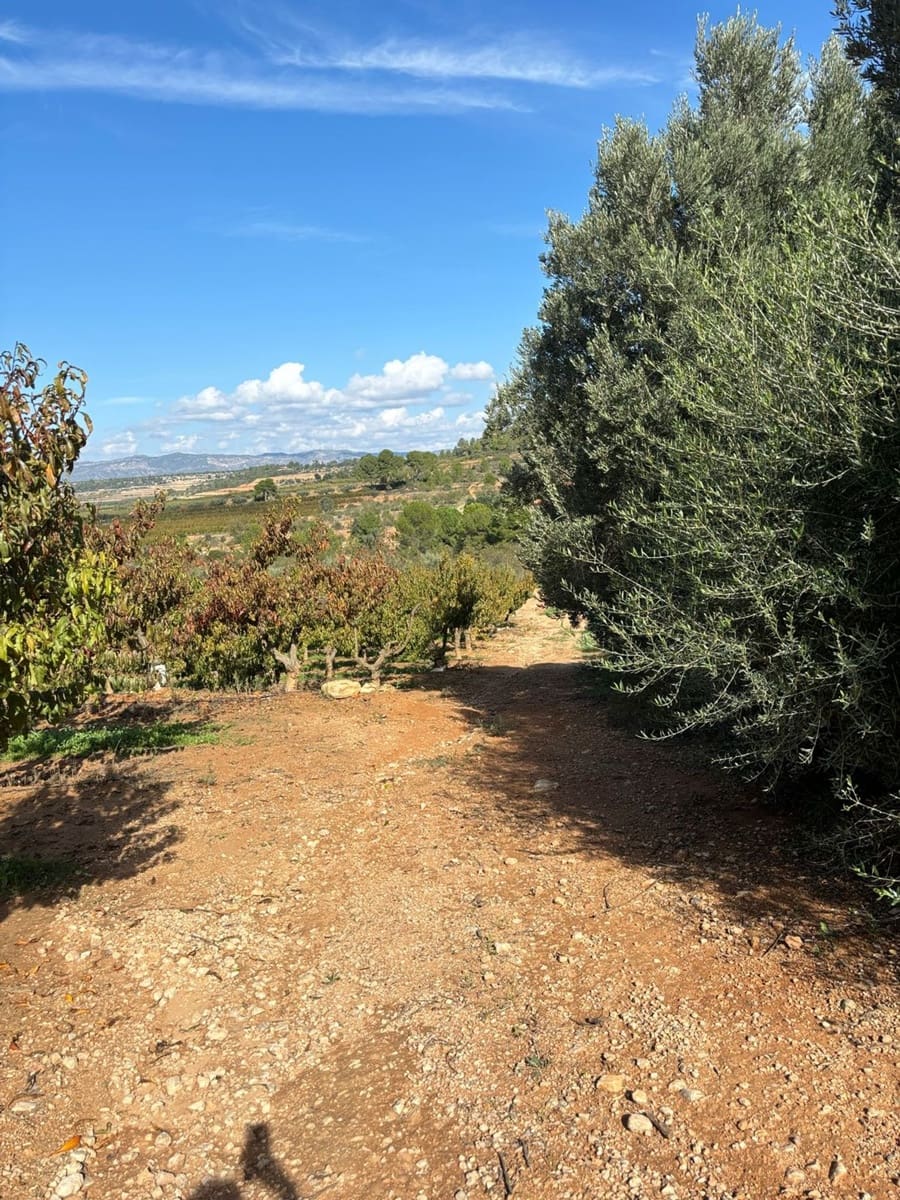 Teren niezagospodarowany na sprzedaż w Mora la Nova - 10 000 € (Ref: 8629842)