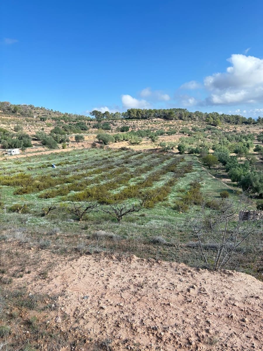 Terre non Aménagée à vendre à La Fatarella - 19 500 € (Ref: 8640726)