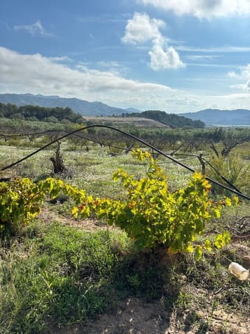 Terre non Aménagée à vendre à La Fatarella - 19 500 € (Ref: 8640726)