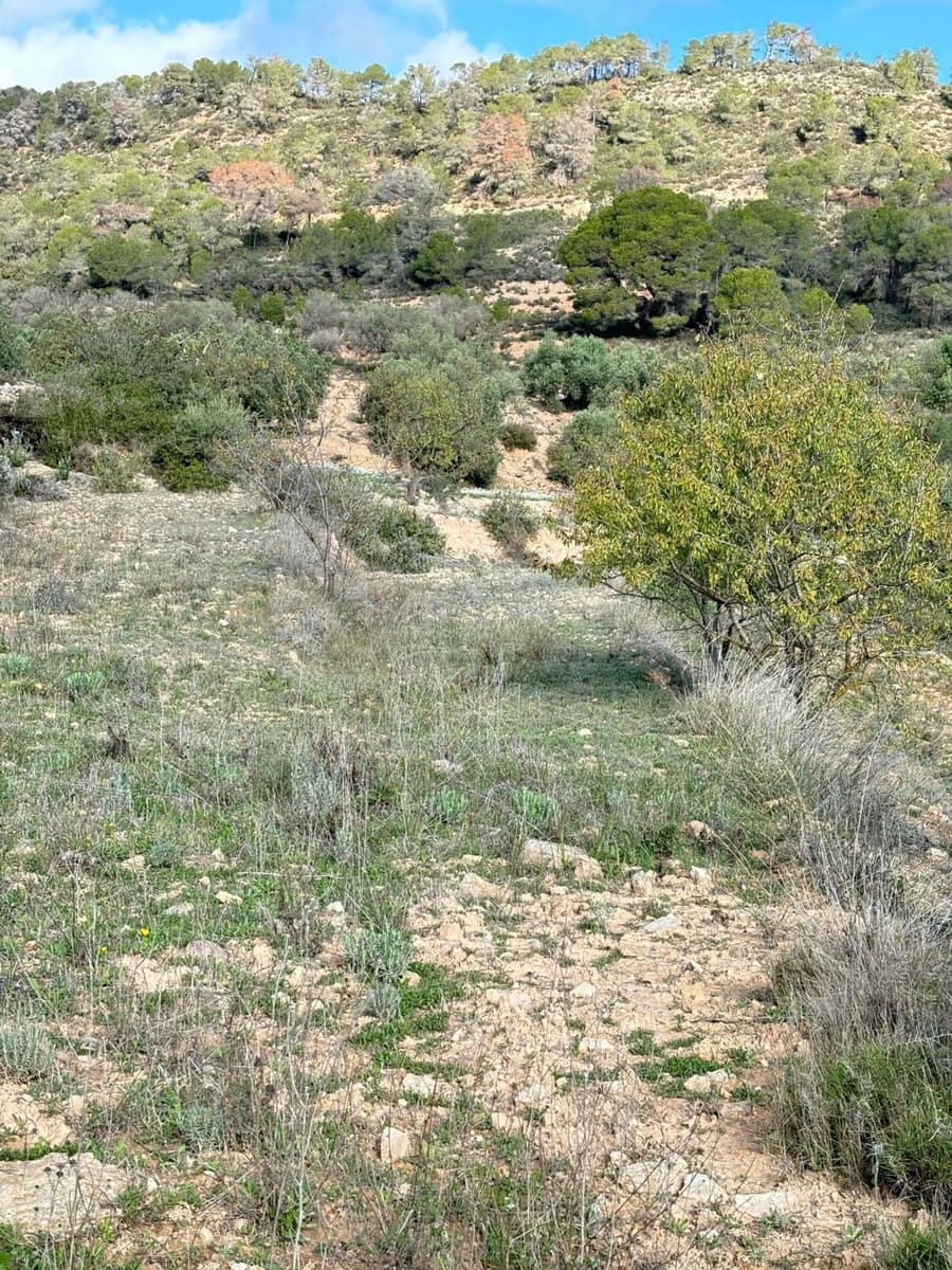 Terre non Aménagée à vendre à La Fatarella - 19 500 € (Ref: 8640726)