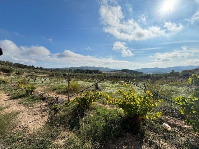 Terre non Aménagée à vendre à La Fatarella - 19 500 € (Ref: 8640726)