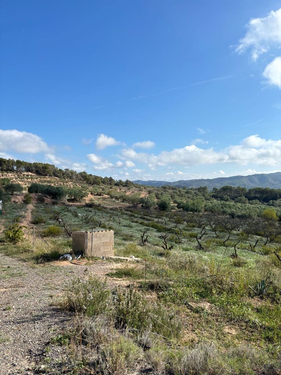 Terre non Aménagée à vendre à La Fatarella - 19 500 € (Ref: 8640726)