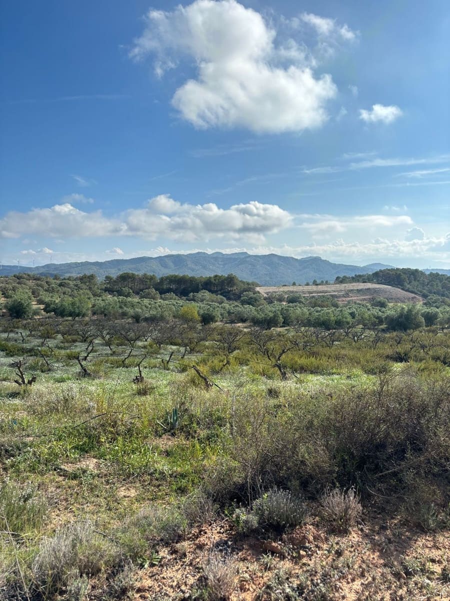 Terre non Aménagée à vendre à La Fatarella - 19 500 € (Ref: 8640726)