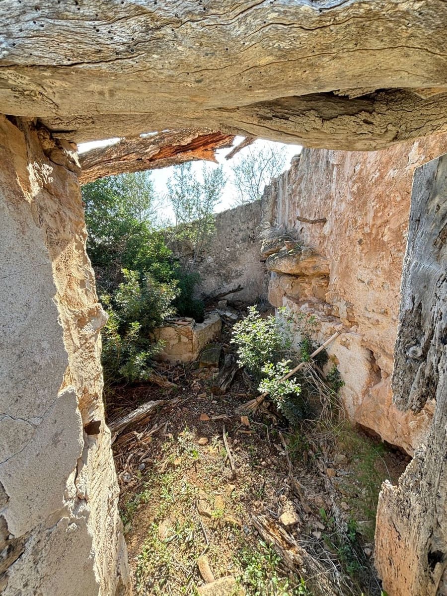 Terre non Aménagée à vendre à La Fatarella - 19 500 € (Ref: 8640726)