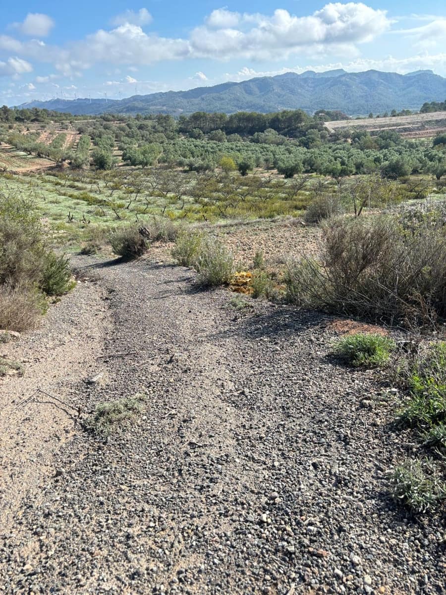 Terre non Aménagée à vendre à La Fatarella - 19 500 € (Ref: 8640726)