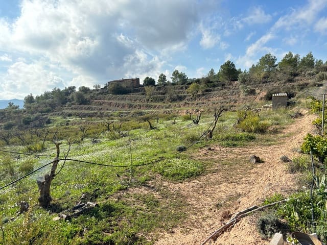 Terre non Aménagée à vendre à La Fatarella - 19 500 € (Ref: 8640726)