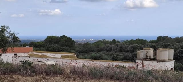 Grunde uden byggetilladelser til salg i Riudecanyes - € 280.000 (Ref: 8755134)