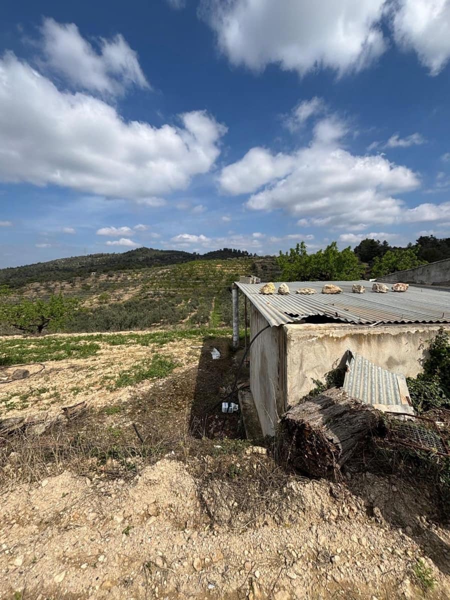 Teren niezagospodarowany na sprzedaż w Tivissa - 49 000 € (Ref: 8993588)