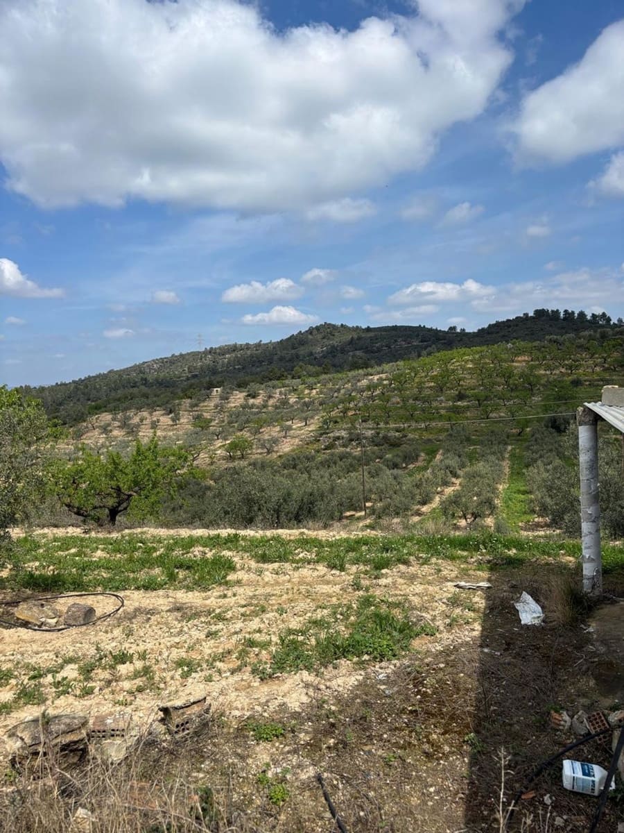 Teren niezagospodarowany na sprzedaż w Tivissa - 49 000 € (Ref: 8993588)