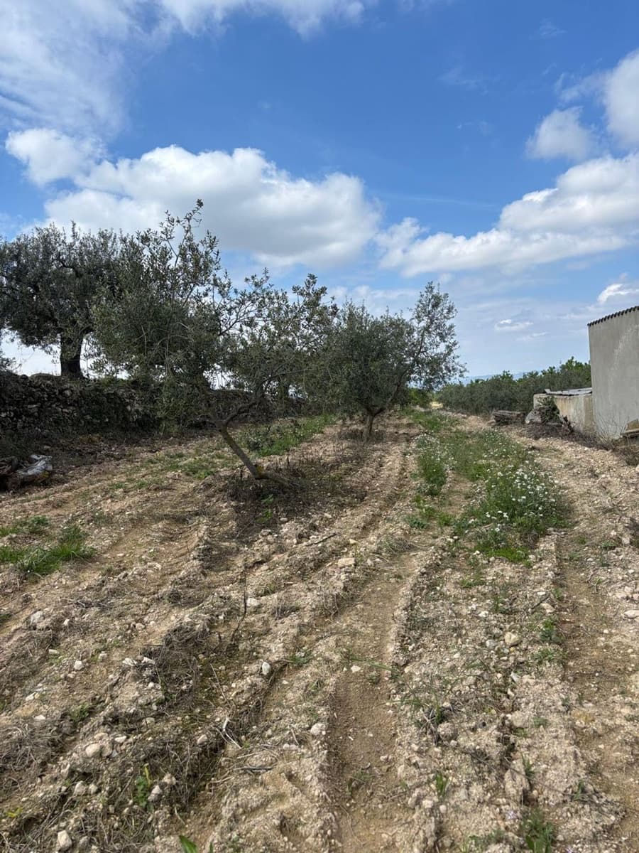 Teren niezagospodarowany na sprzedaż w Tivissa - 49 000 € (Ref: 8993588)