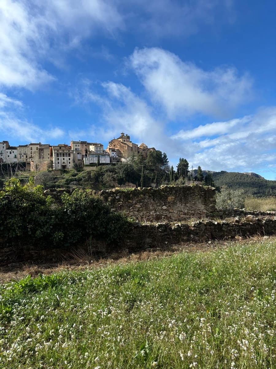 Terre non Aménagée à vendre à Tivissa - 13 000 € (Ref: 8993594)