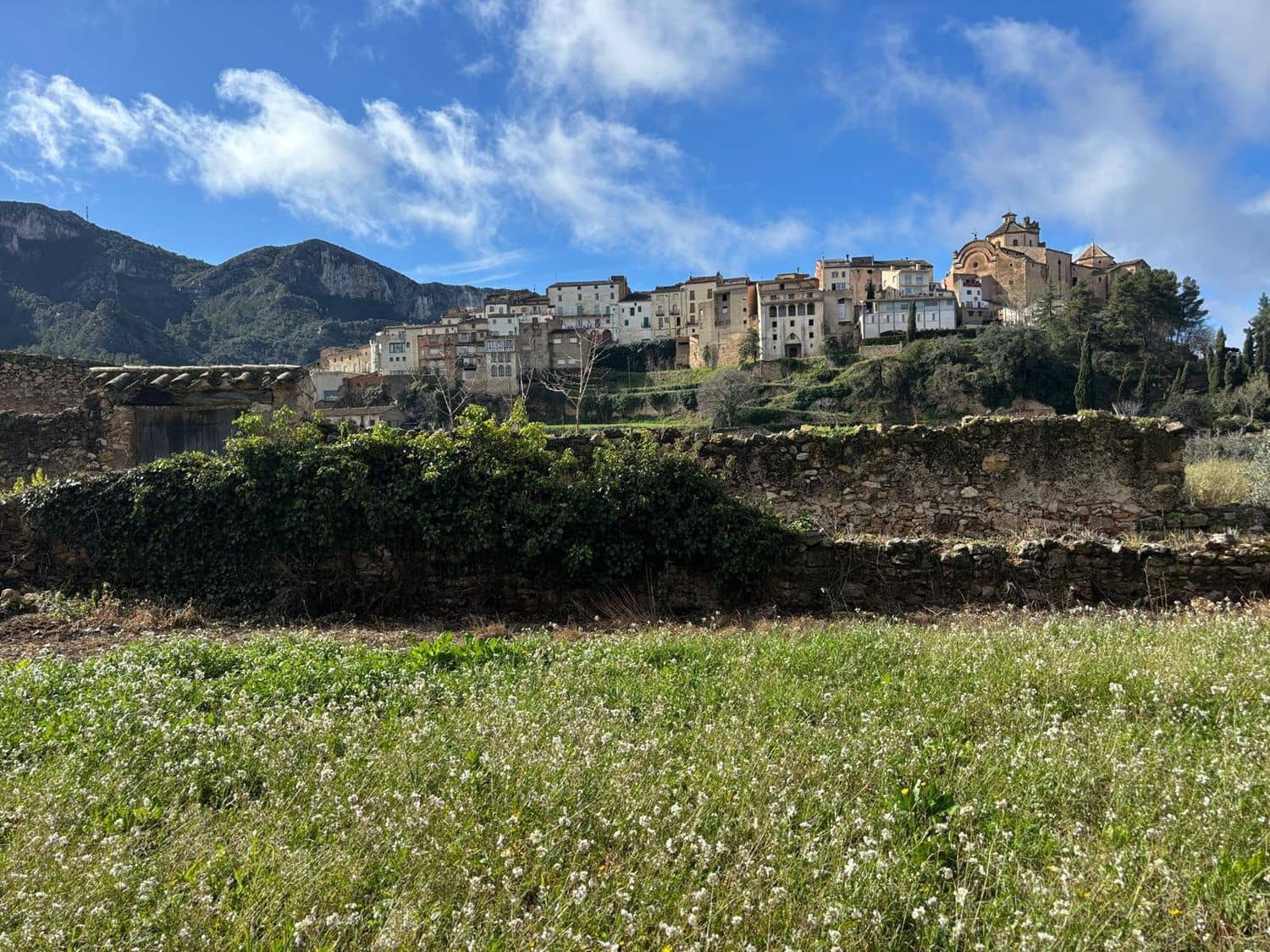 Terre non Aménagée à vendre à Tivissa - 13 000 € (Ref: 8993594)