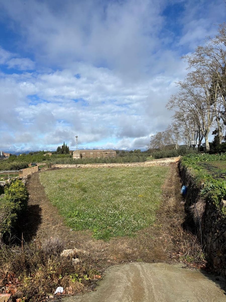 Terre non Aménagée à vendre à Tivissa - 13 000 € (Ref: 8993594)