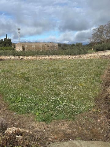 Terre non Aménagée à vendre à Tivissa - 13 000 € (Ref: 8993594)