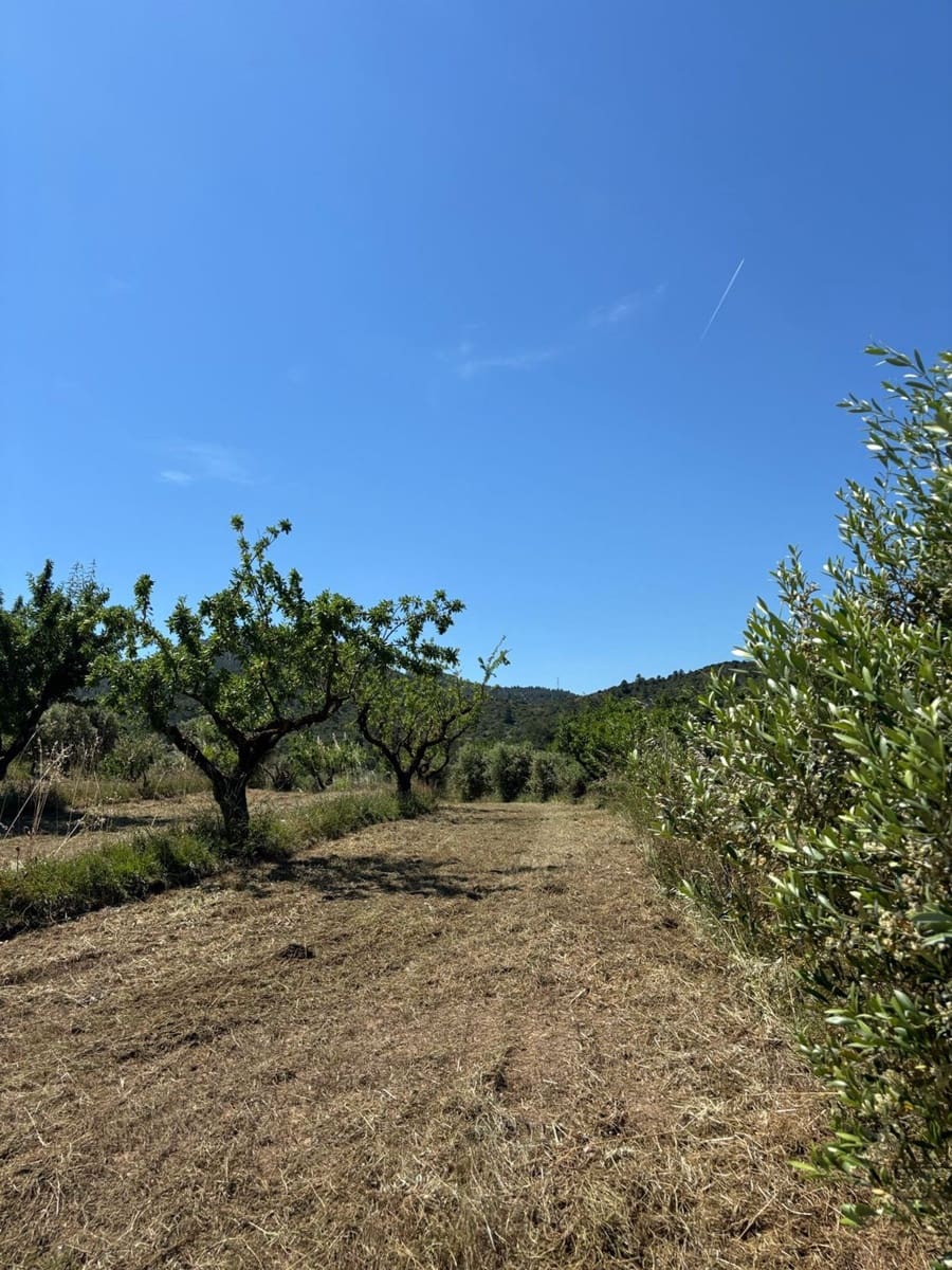 Terreno Não Urbanizado para venda em Tivissa - 31 000 € (Ref: 9020541)