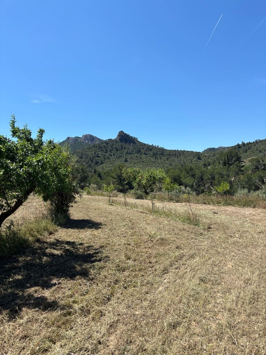 Terreno Não Urbanizado para venda em Tivissa - 31 000 € (Ref: 9020541)