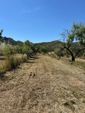 Terreno Non Edificato in vendita in Tivissa - 31.000 € (Rif: 9020541)