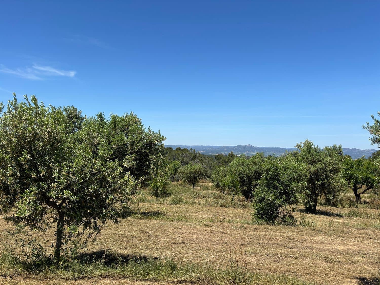 Terreno Não Urbanizado para venda em Tivissa - 31 000 € (Ref: 9020541)