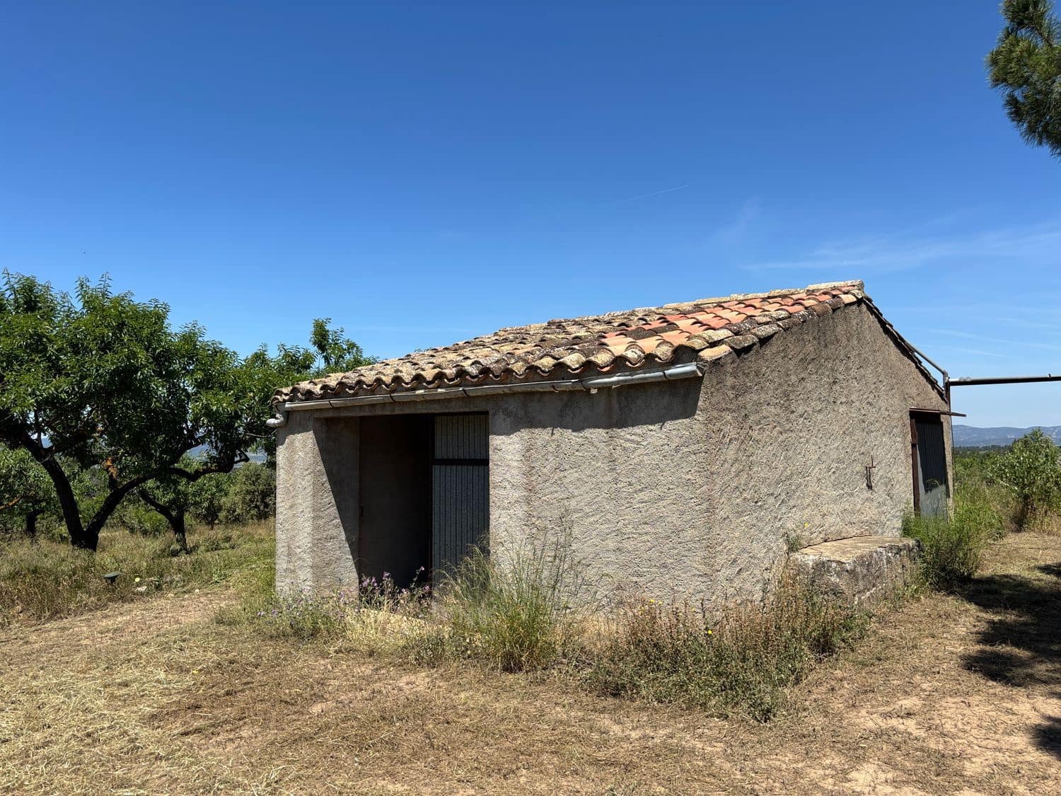 Terreno Não Urbanizado para venda em Tivissa - 31 000 € (Ref: 9020541)