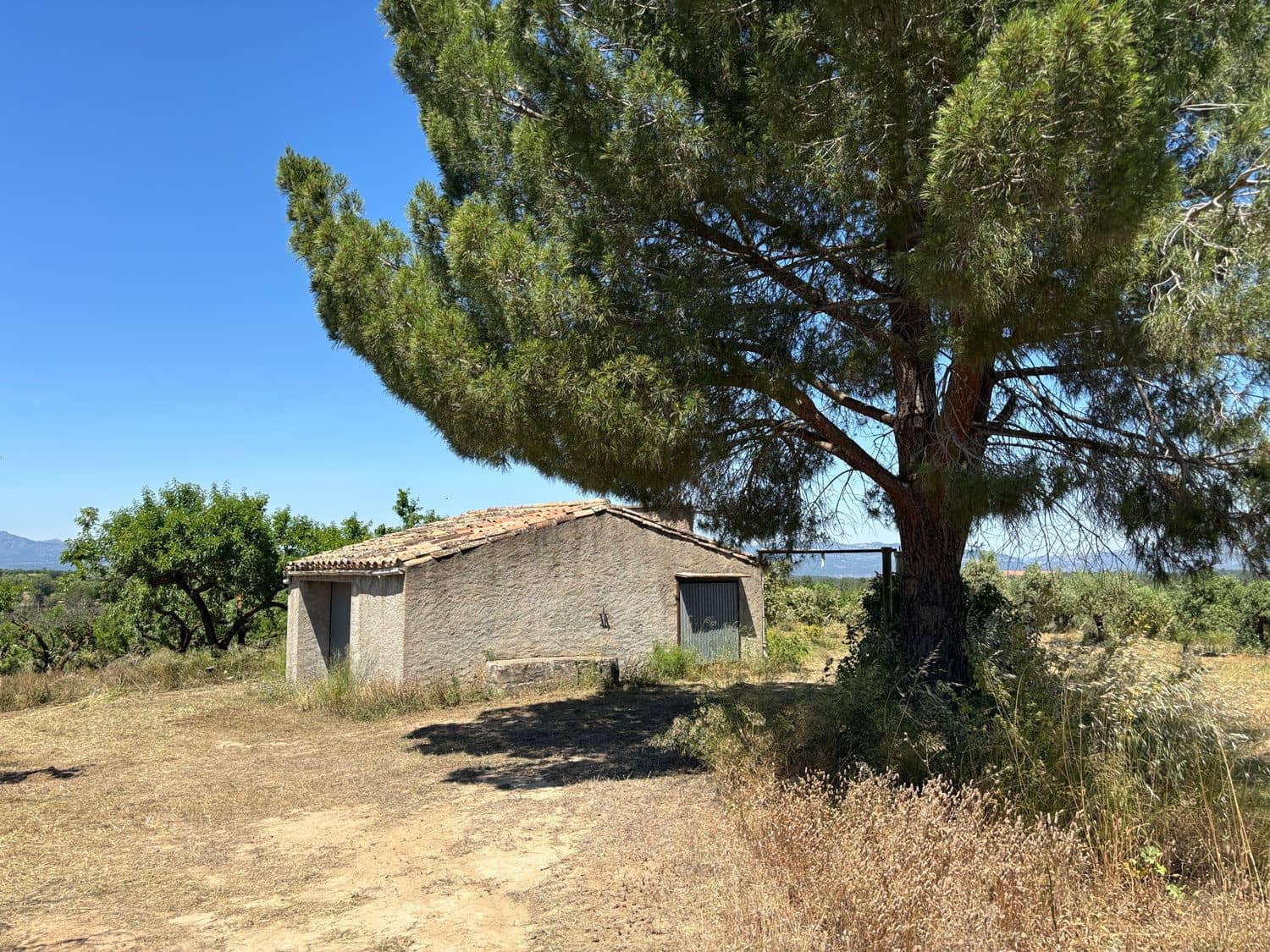 Terreno Não Urbanizado para venda em Tivissa - 31 000 € (Ref: 9020541)