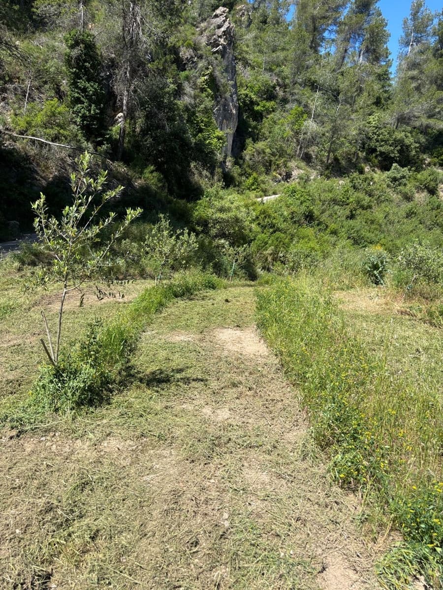 Terreno Non Edificato in vendita in Tivissa - 7.000 € (Rif: 9020542)