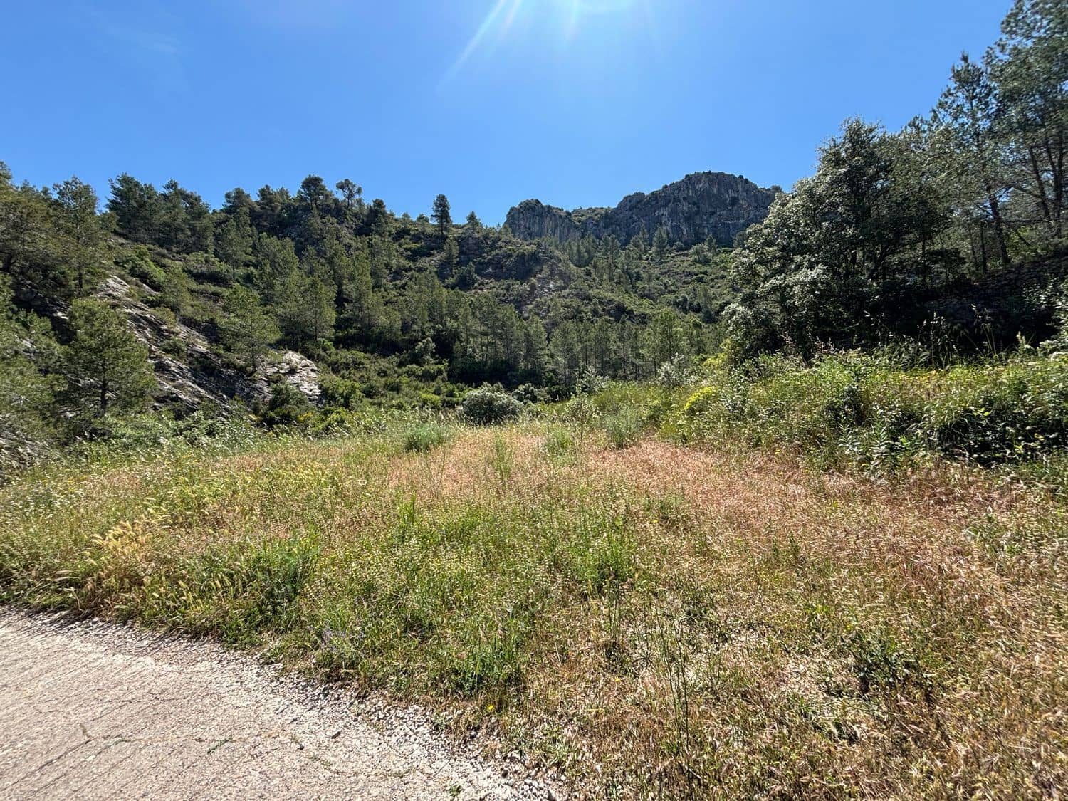 Terreno Non Edificato in vendita in Tivissa - 7.000 € (Rif: 9020542)