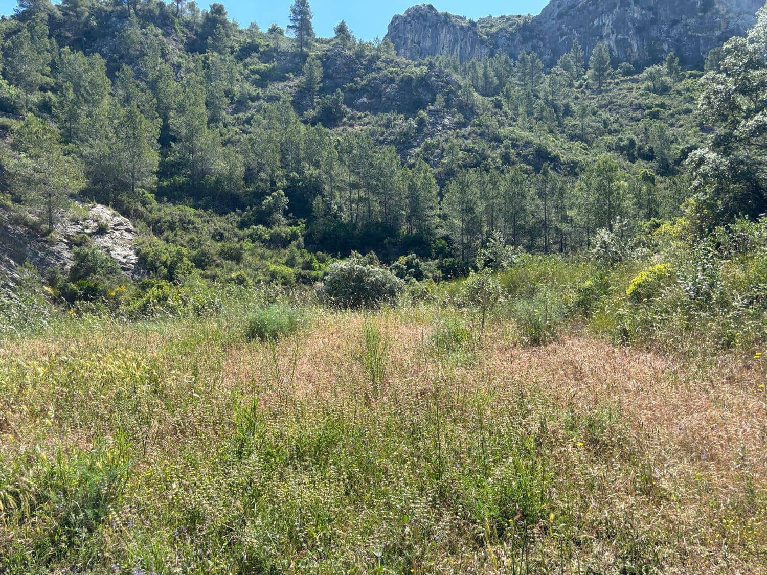 Terreno Non Edificato in vendita in Tivissa - 7.000 € (Rif: 9020542)
