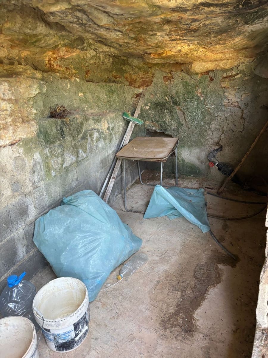 Terre non Aménagée à vendre à Flix - 7 000 € (Ref: 9057188)