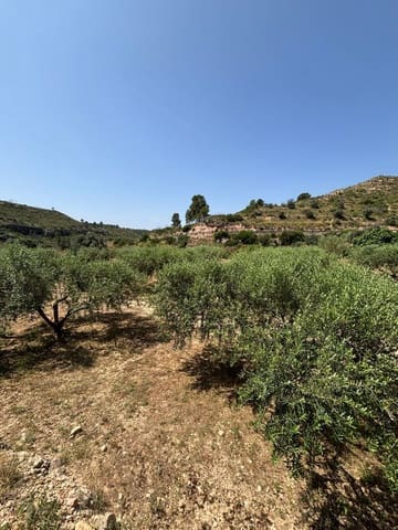 Terreno Non Edificato in vendita in Flix - 7.000 € (Rif: 9057188)