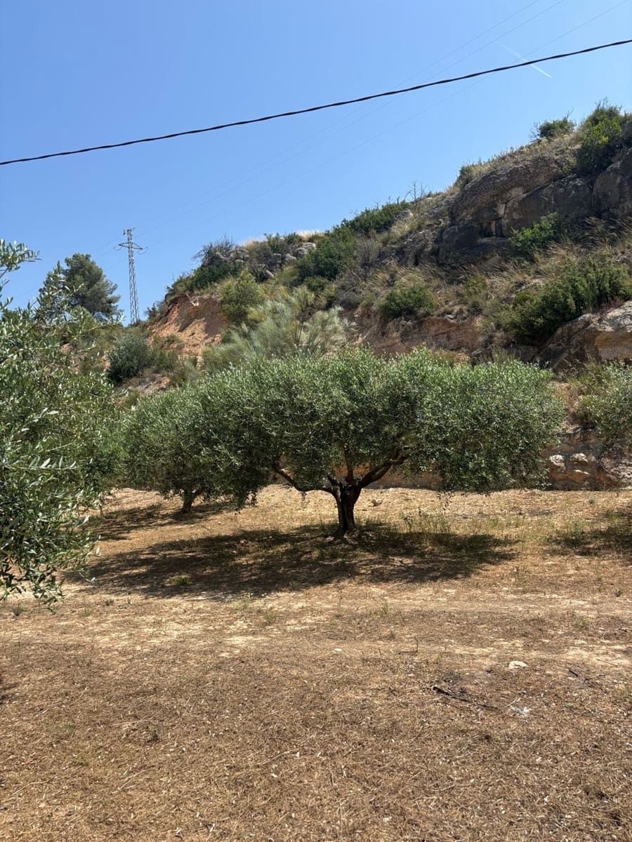 Terre non Aménagée à vendre à Flix - 7 000 € (Ref: 9057188)