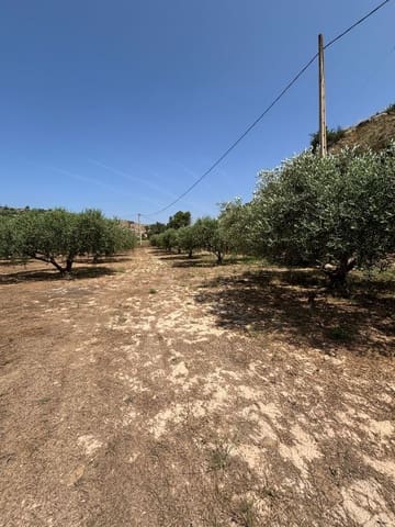 Terreno Non Edificato in vendita in Flix - 7.000 € (Rif: 9057188)