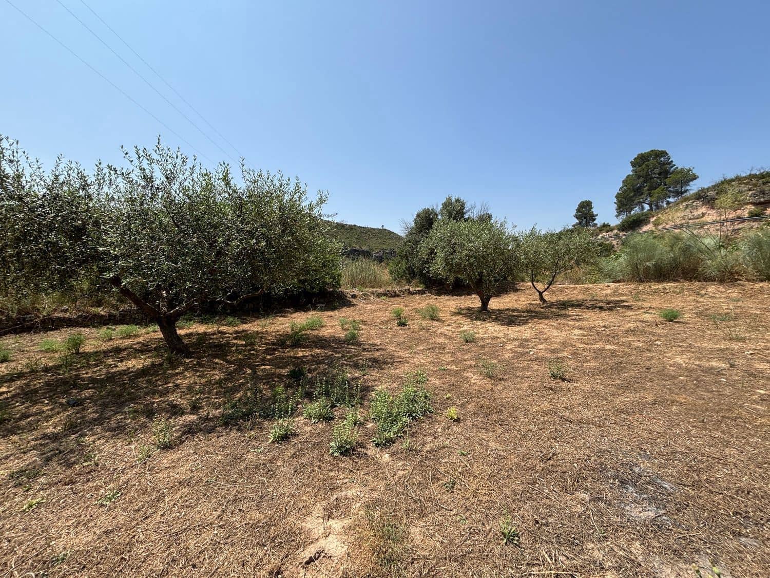 Terre non Aménagée à vendre à Flix - 7 000 € (Ref: 9057188)