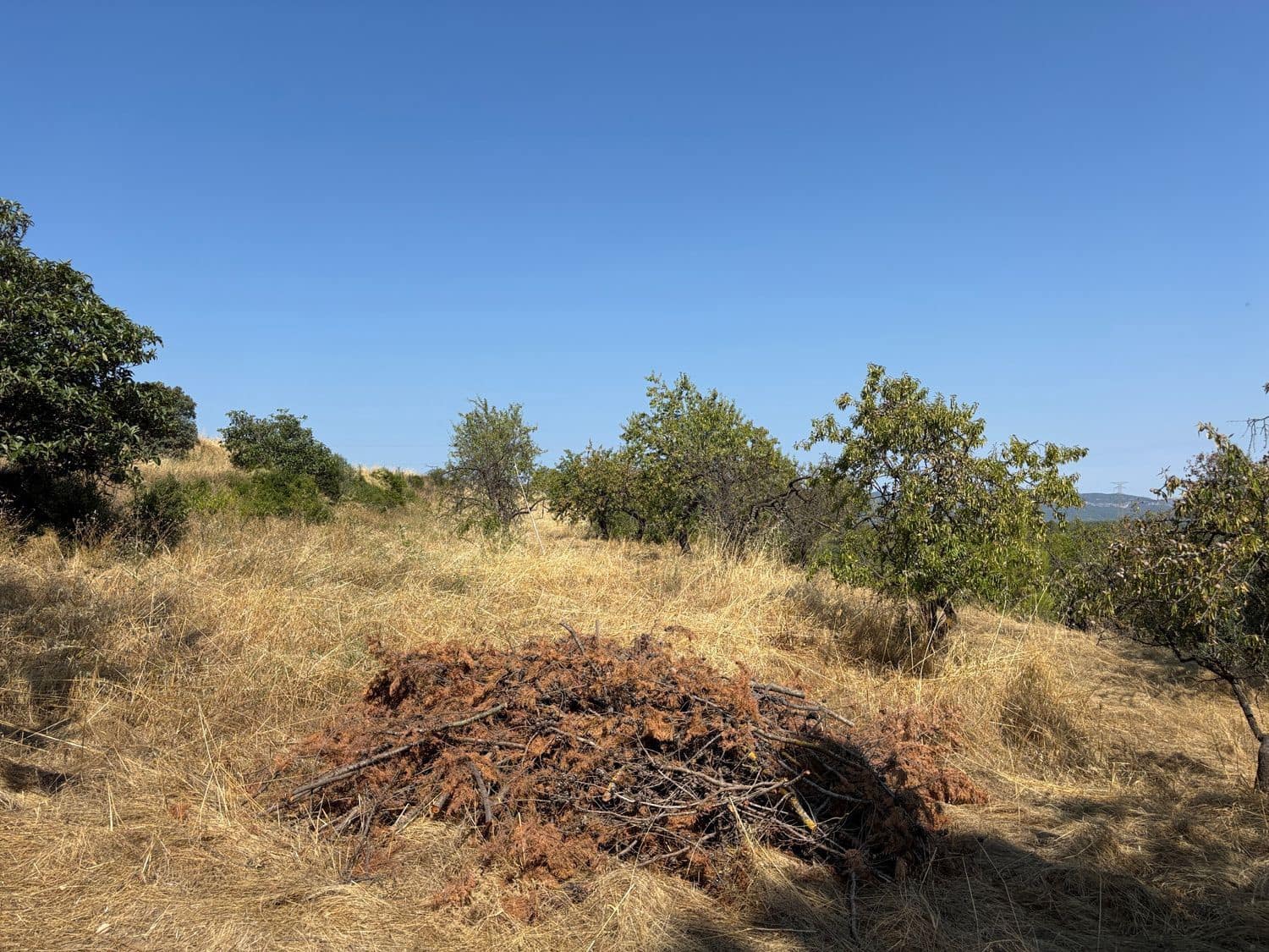 4 quarto Quinta/Casa Rural para venda em Tivissa - 185 000 € (Ref: 9186620)