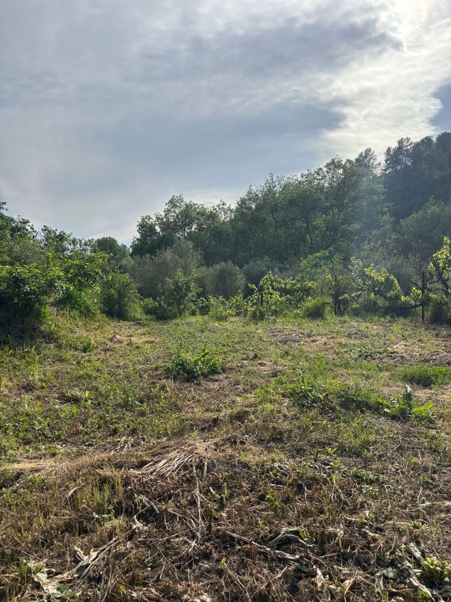 2 soveværelse Finca/Landehus til salg i El Masroig med swimmingpool garage - € 85.000 (Ref: 9248501)