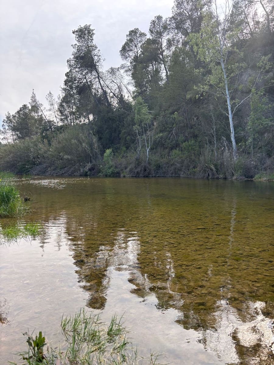 2 soveværelse Finca/Landehus til salg i El Masroig med swimmingpool garage - € 85.000 (Ref: 9248501)