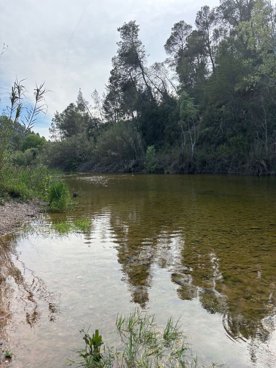 2 soveværelse Finca/Landehus til salg i El Masroig med swimmingpool garage - € 85.000 (Ref: 9248501)