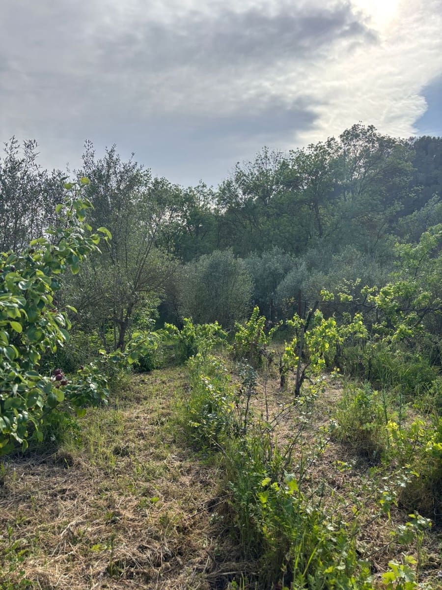 2 soveværelse Finca/Landehus til salg i El Masroig med swimmingpool garage - € 85.000 (Ref: 9248501)