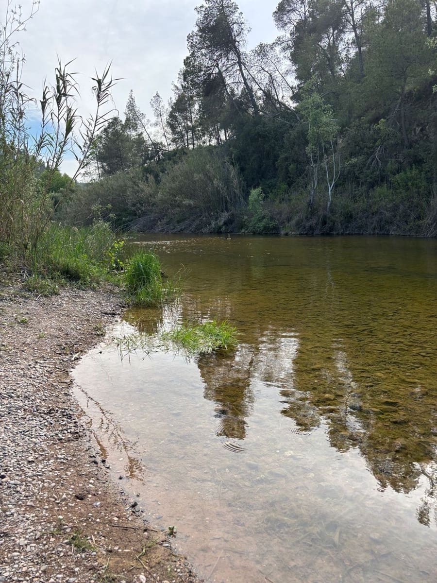 2 soveværelse Finca/Landehus til salg i El Masroig med swimmingpool garage - € 85.000 (Ref: 9248501)