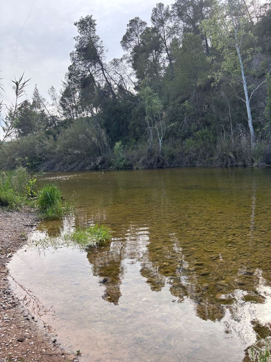 2 soveværelse Finca/Landehus til salg i El Masroig med swimmingpool garage - € 85.000 (Ref: 9248501)