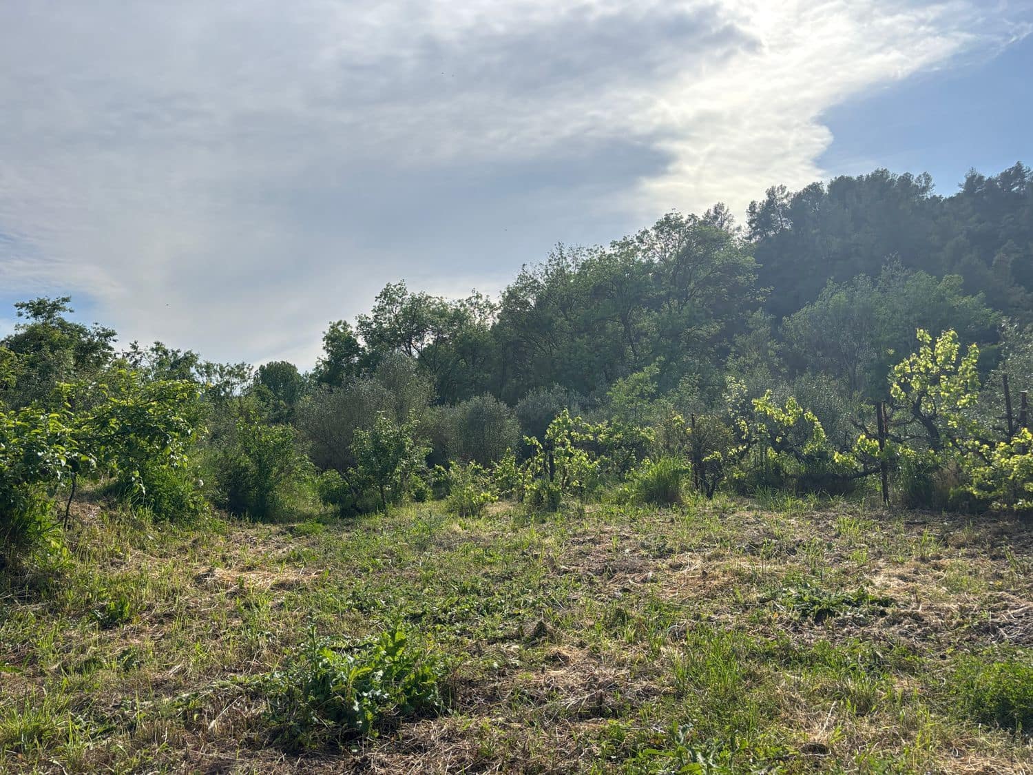 2 soveværelse Finca/Landehus til salg i El Masroig med swimmingpool garage - € 85.000 (Ref: 9248501)