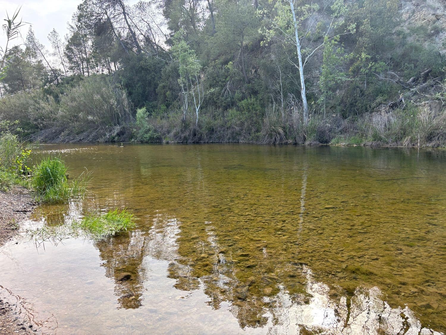 2 soveværelse Finca/Landehus til salg i El Masroig med swimmingpool garage - € 85.000 (Ref: 9248501)